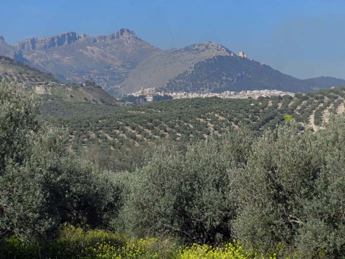 eingerahmt vom größten Olivenanbaugebiet der Erde und den steilen Felsbergen Nordandalusiens: die Provinzhauptstadt Jaén