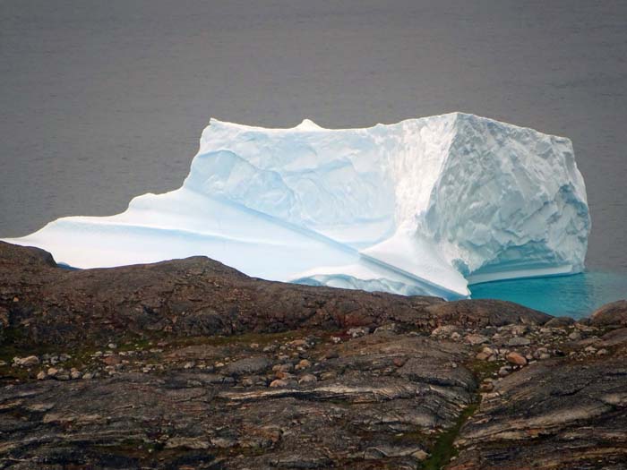 immer wieder faszinierend: die Eisberge nahe am Küstensaum                               