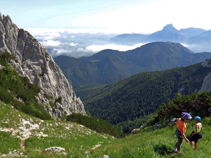 vom Beginn des flachen Gipfeldaches des Alberfeldkogel führt der Zustieg über steile, grasige Schrofen hinunter zum Kantenfuß; im Hintergrund rechts der Traunstein