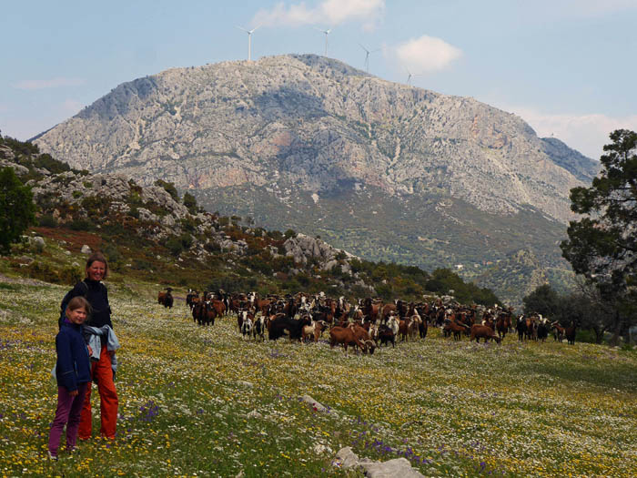 pastorales Idyll zwischen den beiden höchsten Gipfeln der Halbinsel, Didimo und Ortholithi (im Bild)