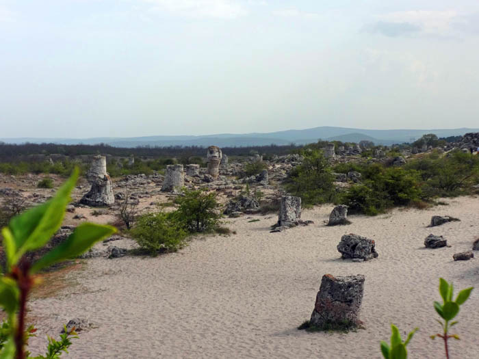 die Pobiti kamani 18 km westlich von Varna bilden eine eigenartige Felslandschaft mit bis zu 6 m hohen Steinsäulen, deren Entstehung noch immer umstritten ist