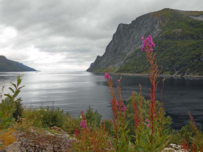 660 m tief stürzt der Barden mit seiner mächtigen Südwand in die kalten Fluten des Mefjords