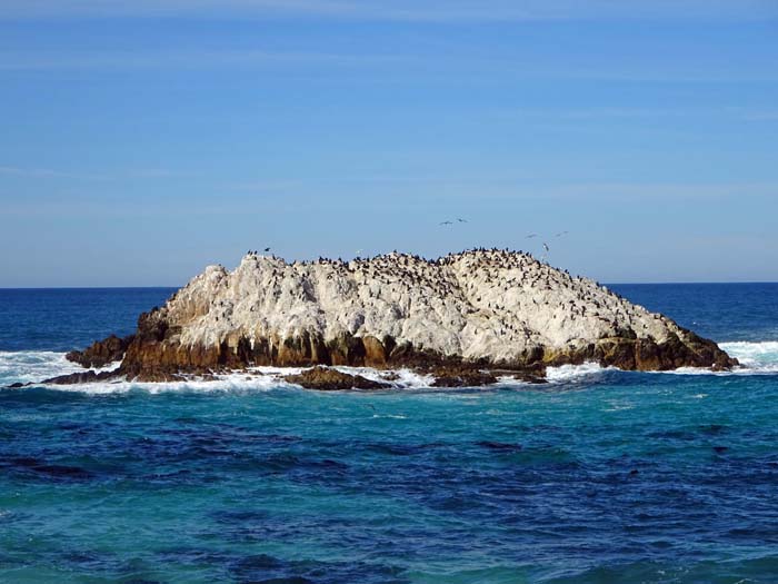 vorgelagerte Felsinseln wie der Bird Rock dienen Seevögeln als Refugium