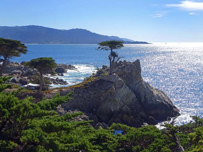 Lone Cypress - wie an den schönsten Plätzen der Dalmatinischen Küste