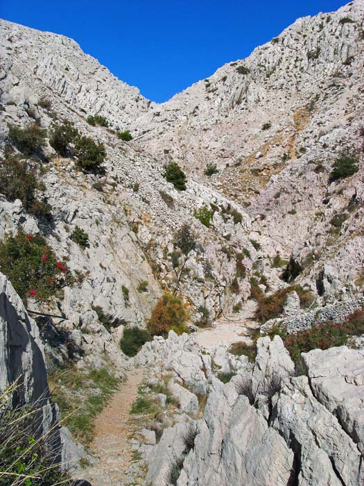 ... führt der bezeichnete Wanderweg Richtung Vela und Mala luka in den Grund der Bolacovica-Schlucht