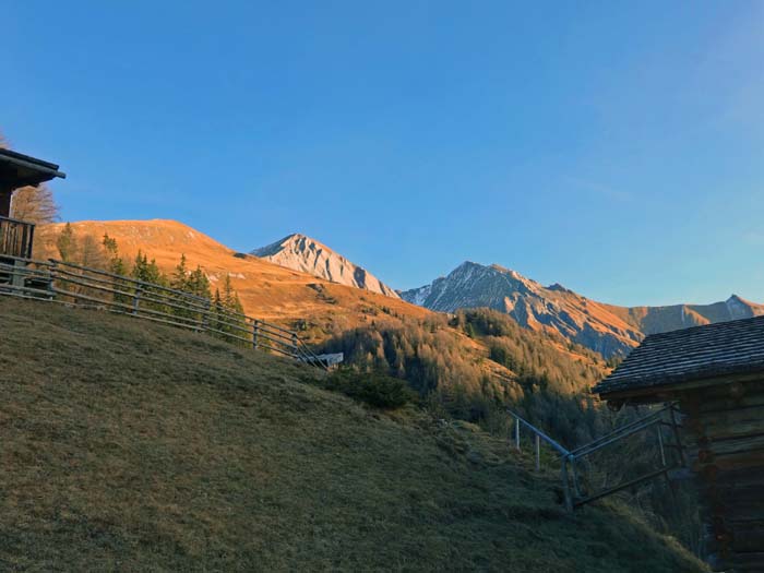 die Köfleralm im Licht des frühen Morgens; links das grasige Bunzkögele, dann die angeleuchtete Bretterwandspitze und die bereits über 3000 m hohe Kendlspitze
