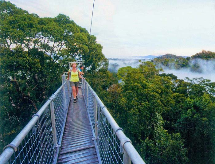 eine der Hauptattraktionen des weiter südlich gelegenen und gut erschlossenen Ulu Temburong Nationalparkes ist der exponierte Baumkronenweg