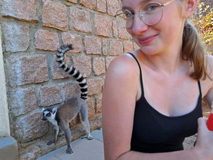 schade! - Mal hinten vorbeischleichen und schaun, ... schade! - Mal hinten vorbeischleichen und schaun, ...