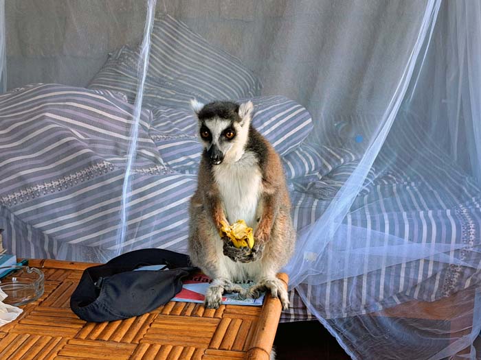 ... aber ins Bett kommt er uns nicht! ... aber ins Bett kommt er uns nicht!