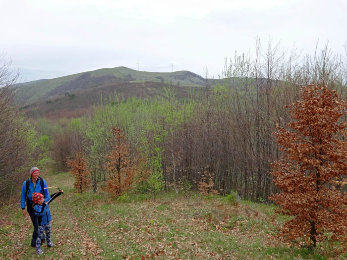 ... sind ein ursprüngliches Wandergebiet: hier der Blick vom Bogoya Hauptgipfel gegen NNW auf den Vasilyov, 1490 m