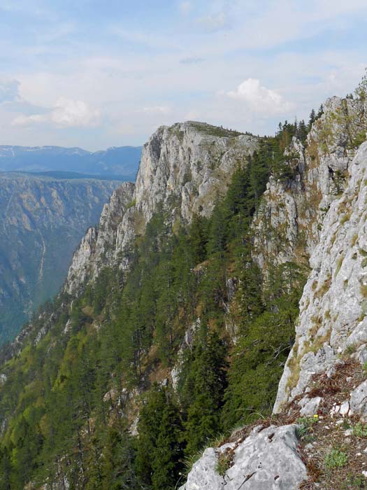unser Berg vom Počivalopass, rechts der steil abbrechende Südkamm