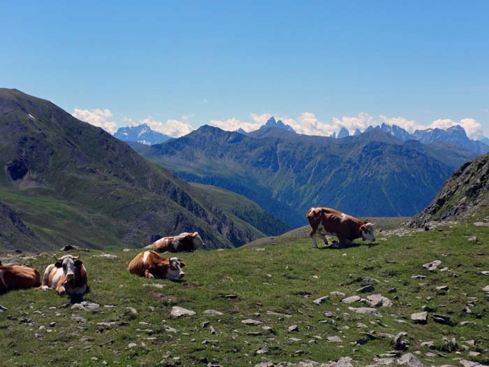 ... und bestaunen den Ausblick über das bereits Südtiroler Gsieser Tal hinweg auf die Sextener Dolomiten