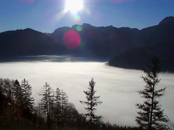 Aufstieg oberhalb der Nebelgrenze; über dem Offensee die Plateaurandberge des Toten Gebirges vom Woising (links unterhalb der Sonne) bis zum Rinnerkogel