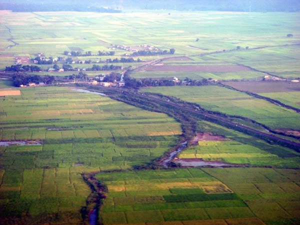 Reisfelder bei Guwahati