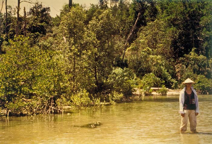 .. bis an einen Urwaldfluss; die Mangroven zwingen uns ins Flussbett, wir waten bis an die Mündung hinaus und entdecken ein kleines Pfahlbaudorf an der Küste, wo man uns sogleich ein Langhaus zum Übernachten zuweist