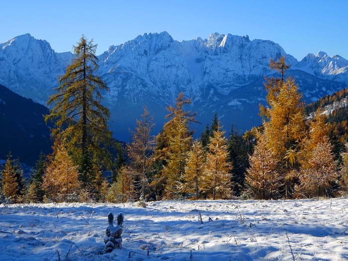 hinter den herbstlichen Lärchen die Lienzer Dolomiten