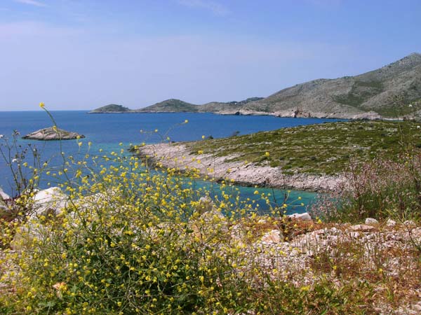 Blick von O auf die Vejo more Bucht mit der kleinen Insel Škoj od Uske 