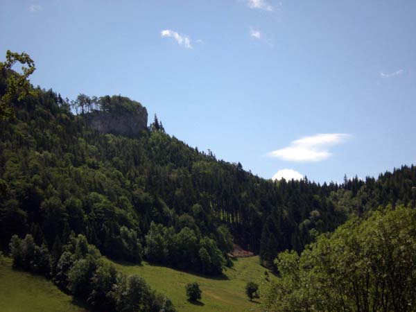 der eigenwillig rasierte Kopf der Lindaumauer von N, vom Oberramskogler; Anstieg von rechts über den Waldsattel