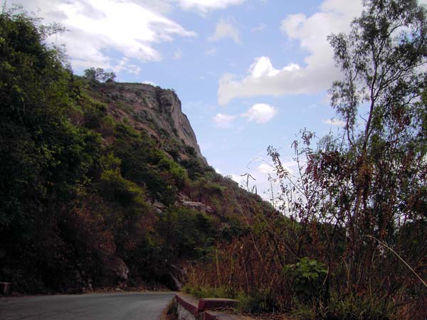 durch die relativ zahme Westflanke führt eine asphaltierte Bergstraße bis knapp unters Plateau des höchsten Gipfels der Nandi Hills