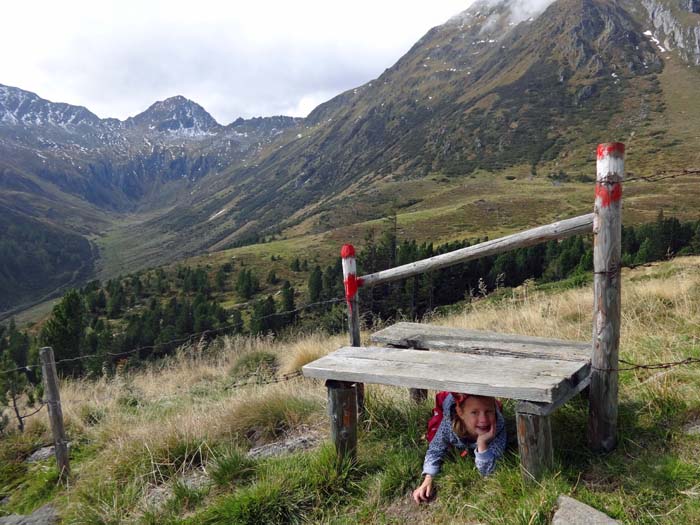 Ronja sucht sich ihren Weg auf die kleine Seenterrasse auf gut 2000 m