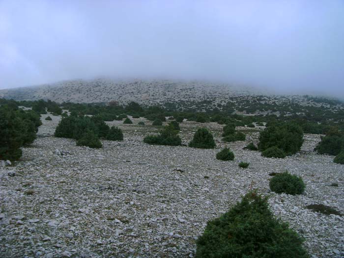 unsere Tour beginnt eher trostlos - am Fuß der Nordflanke zeigt sich der Veli Vrh nebelverhangen
