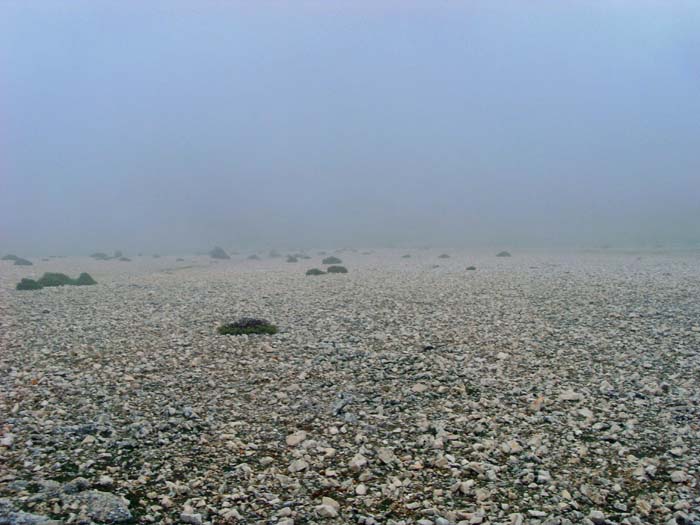 Nebel und Sprühregen auf der hochflächenartigen Kammhöhe erschweren die Orientierung beträchtlich; man wähnt sich in der Atacama