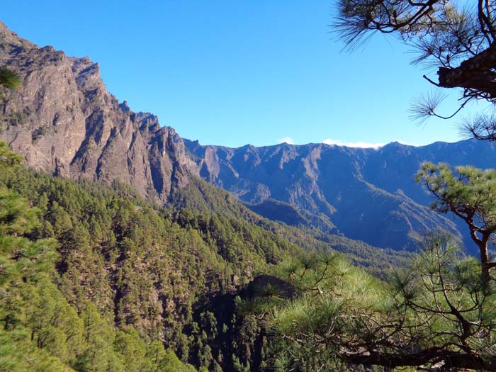 Blick quer über die Caldera nach NO zum Pico de la Cruz, 2283 m