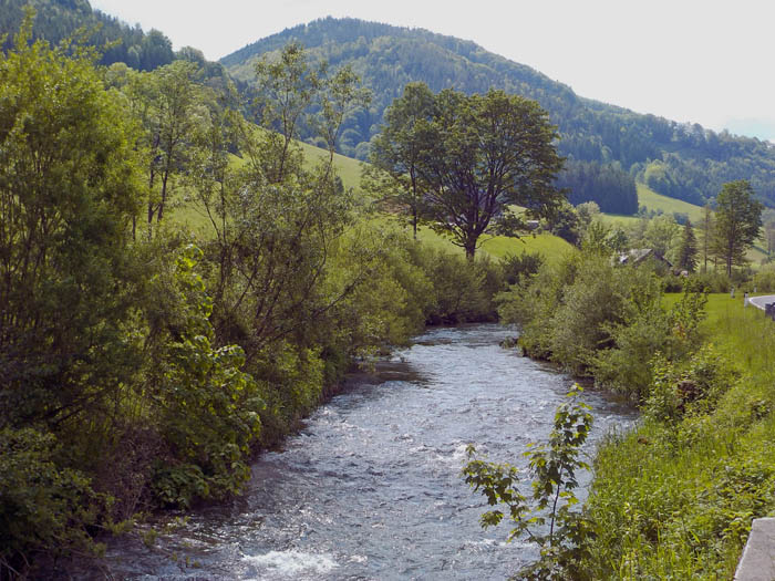 die oberste befahrbare Strecke der Pielach zwischen Schwarzenbach und der Einmündung des Nattersbach: an sich problemloses leichtes Wildwasser (bis WW II), ...