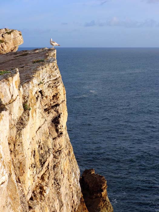 rund ums Kap erstreckt sich auch ein Trad-Klettergebiet (nach englischem Vorbild selbst abzusichern; Kletterführer Cabo Carvoeiro von Paulo Roxo, Verlag Espacos Naturals 2008, port./englisch)