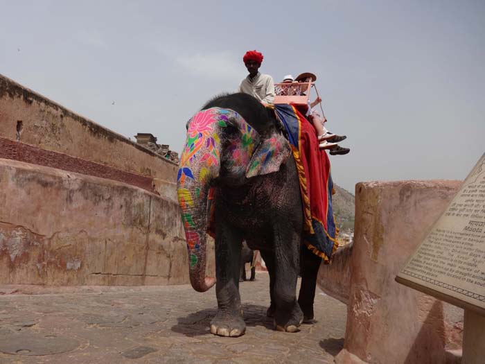 waidwunde Touristen werden mit Elefanten den steilen, kopfsteingepflasterten Serpentinenweg ...