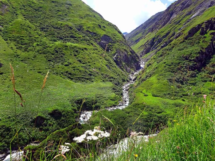 wir befinden uns bei der Einmündung des Daberbachs ins Umbaltal, zwischen den berühmten Wasserfällen und der Clarahütte (Zustiegsbilder s. im Archiv unter Iseltrail); links unser Steig in Richtung Reichenberger Hütte wir befinden uns bei der Einmündung des Daberbachs ins Umbaltal, zwischen den berühmten Wasserfällen und der Clarahütte (Zustiegsbilder s. im Archiv unter Iseltrail); links unser Steig in Richtung Reichenberger Hütte