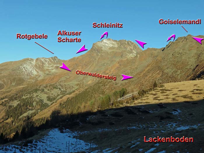 im Nu sind wir am Lackenboden; rechts oben der erste Gipfel, links der abschließende Teil der Runde über den Oberwaldersteig zurück zum Ausgangspunkt