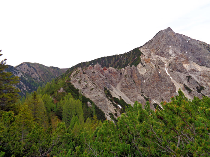 der Übergang zum Breitenstein, dem höchsten Berg der westl. Lienzer Dolomiten, ist mühsam, verwachsen und mit leichter Kletterei verbunden