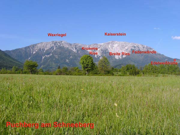 der breite Riesenklotz des Schneeberg v. O (Puchberg); auf dieser Seite verläuft in halber Höhe der letzte Teil unseres Rundkurses - der Nördliche Grafensteig