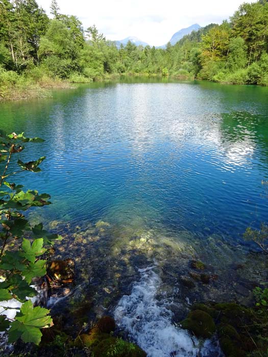 das Bluntautal, ein kurzes Seitental der Salzach, birgt zwei reizende Seen: den Vorderen ...