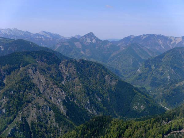 ... und von ONO, vom Gipfel des Turmstein oberhalb der Kientalerhütte, Schneeberg; diagonal von rechts nach links das  Tal von Nasswald, links hinten die Schneealpe