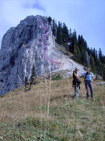 die flache Wiese auf der Westschulter des Berges; der Wanderweg holt etwas aus und führt von SO zum Gipfelkreuz, der WSW-Grat wartet unten mit zwei kurzen 3er-Stellen, oben mit einer flachen aber zerscharteten Gratschneide auf