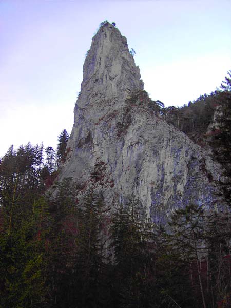 der Adlerhorst, markantester Felsturm der Kaltenbachwildnis am NW-Fuße des Traunstein; im Sattel dahinter beginnt der Zirla-Anstieg