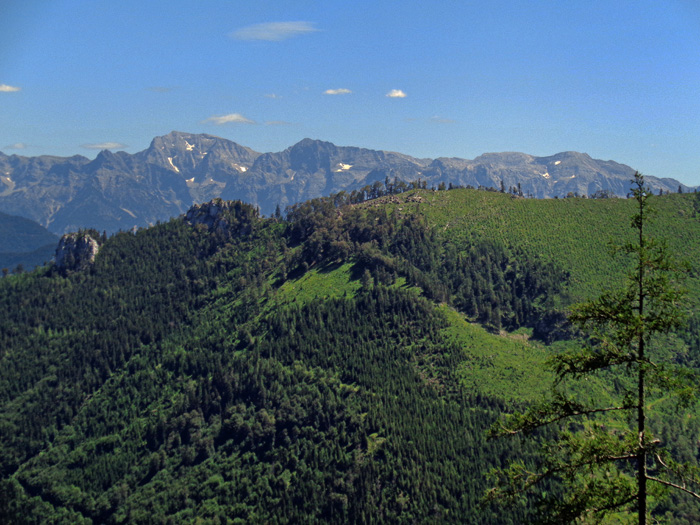 nach kurzer Zeit wird der Blick auf die Nordwände des Toten Gebirges frei; links der Gr. Priel, gefolgt von Schermberg und Rotgschirr
