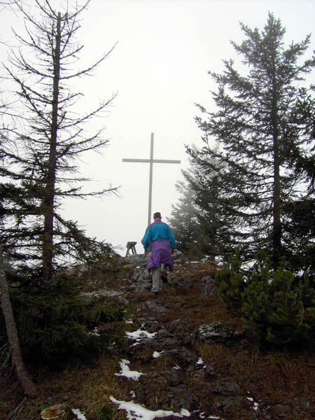 der Gipfel des Türnitzer Höger ist nur wenige Schirtte von der Hüttentür entfernt; heute leider im Nebel, der sich aber bei unserem Lauf über den Traisenkamm bald lichten soll
