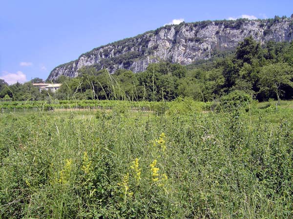 der Klettergarten Kompanj nutzt einen verschwindend kleinen Teil des riesigen Potentials am Felsriff zwischen Triest und Učka