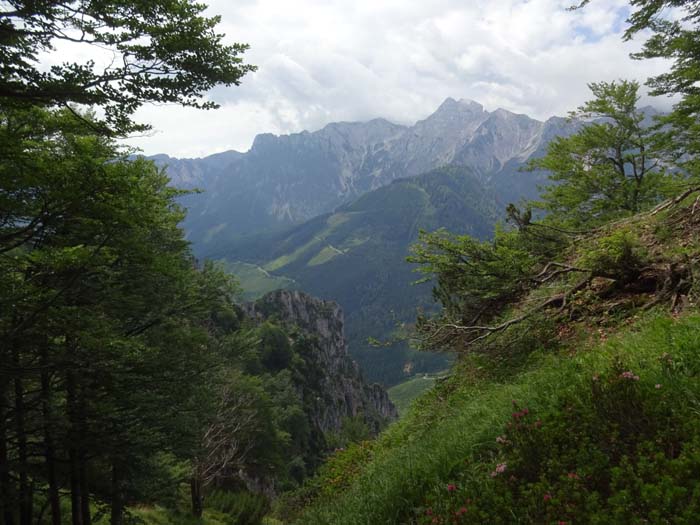 Blick vom Gipfel der Kampermauer nach Süden (Bärenkarmauer, Haller Mauern); über die Menaueralm ist auf einfacher Wanderung die Krone des Klettergebiets zu erreichen