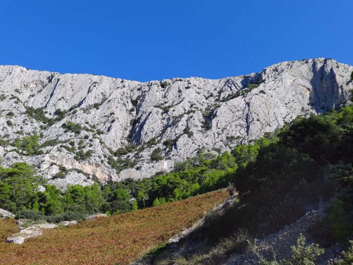 die Felsen oberhalb der Weingärten von Sveta Nedjelja sind erst der Anfang ...