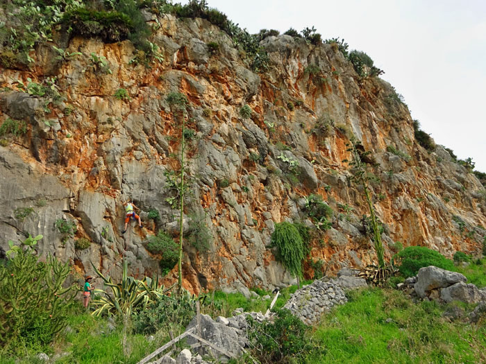 im rechten Wandteil klettert Ulli Kepo 5b; der exotische Bewuchs stört weder beim Zustieg, noch beim Klettern, ...