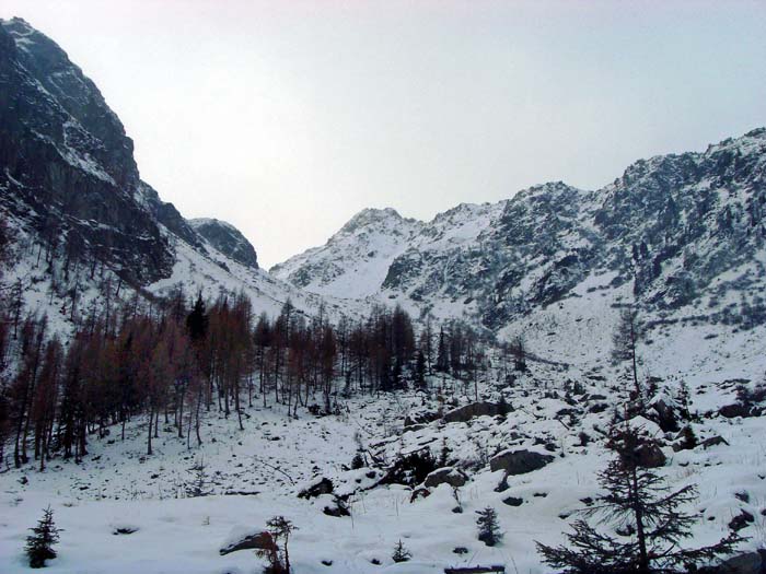 ... hinauf ins Kar; im Dezember 2011 akuter Schneemangel